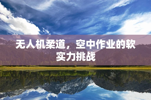 无人机柔道，空中作业的软实力挑战