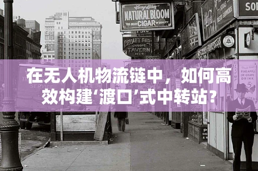 在无人机物流链中，如何高效构建‘渡口’式中转站？