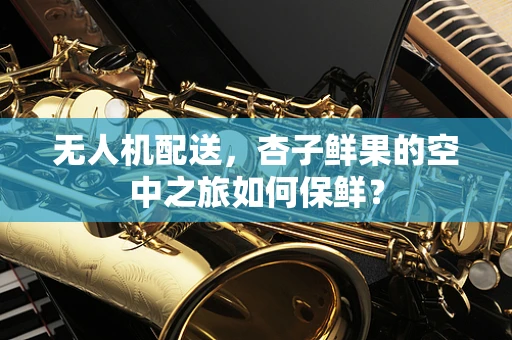 无人机配送，杏子鲜果的空中之旅如何保鲜？