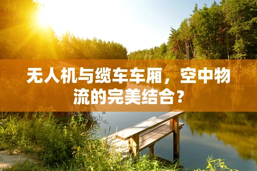 无人机与缆车车厢，空中物流的完美结合？