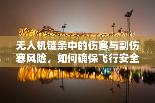 无人机链条中的伤寒与副伤寒风险，如何确保飞行安全？