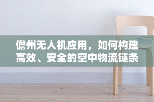 儋州无人机应用，如何构建高效、安全的空中物流链条？