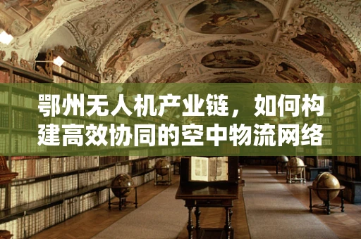 鄂州无人机产业链，如何构建高效协同的空中物流网络？