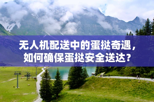 无人机配送中的蛋挞奇遇，如何确保蛋挞安全送达？
