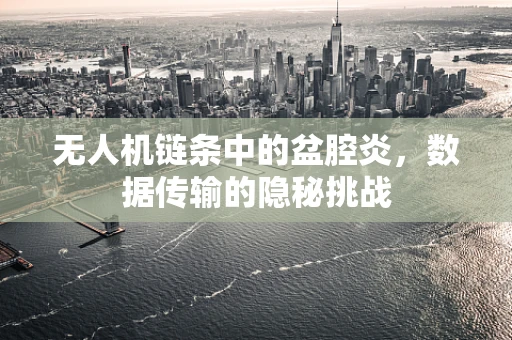 无人机链条中的盆腔炎，数据传输的隐秘挑战