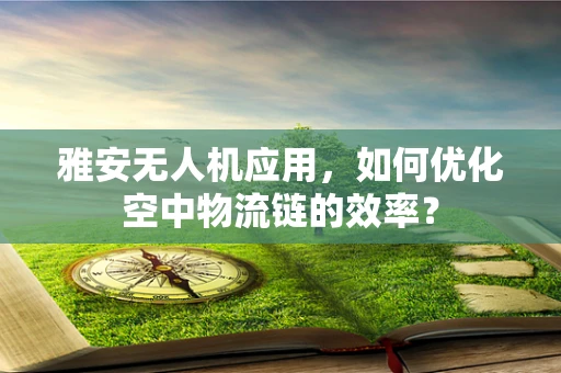 雅安无人机应用，如何优化空中物流链的效率？