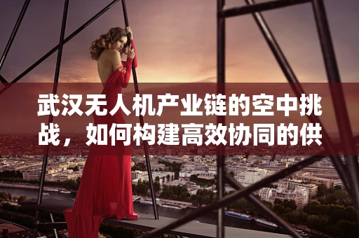 武汉无人机产业链的空中挑战，如何构建高效协同的供应链网络？
