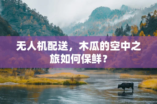 无人机配送，木瓜的空中之旅如何保鲜？