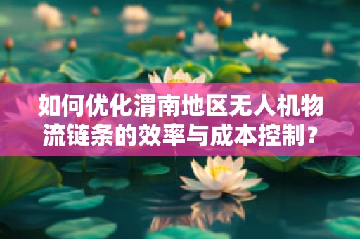 如何优化渭南地区无人机物流链条的效率与成本控制？