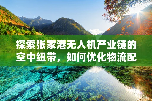 探索张家港无人机产业链的空中纽带，如何优化物流配送的最后一公里？