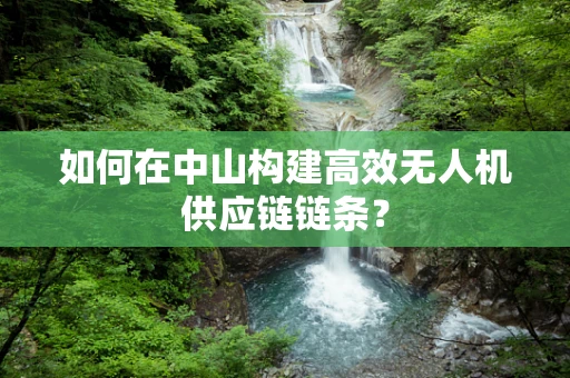 如何在中山构建高效无人机供应链链条？