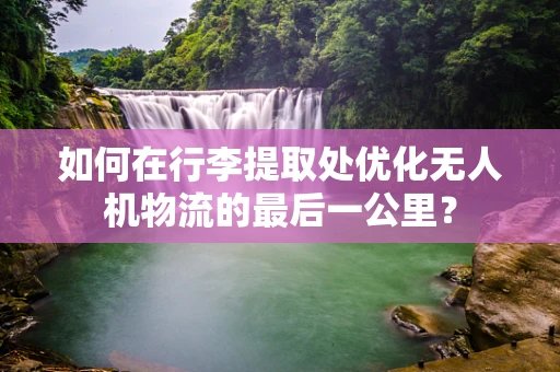 如何在行李提取处优化无人机物流的最后一公里？