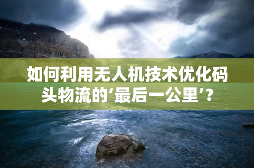 如何利用无人机技术优化码头物流的‘最后一公里’？