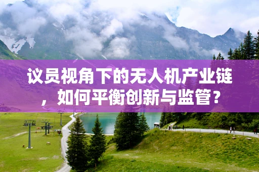 议员视角下的无人机产业链，如何平衡创新与监管？