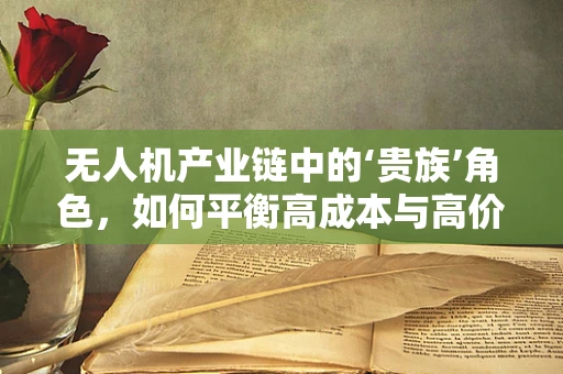 无人机产业链中的‘贵族’角色，如何平衡高成本与高价值？