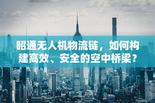 昭通无人机物流链，如何构建高效、安全的空中桥梁？