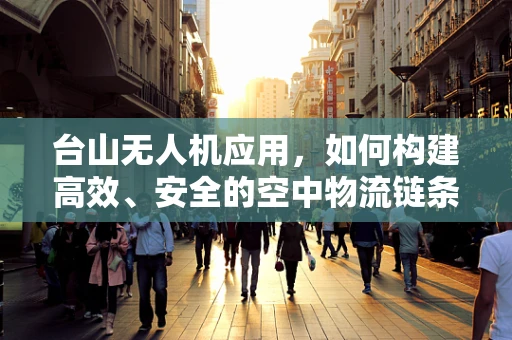 台山无人机应用，如何构建高效、安全的空中物流链条？