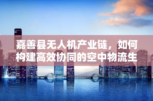 嘉善县无人机产业链，如何构建高效协同的空中物流生态？