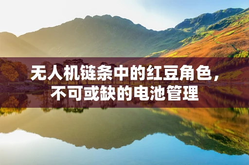 无人机链条中的红豆角色，不可或缺的电池管理
