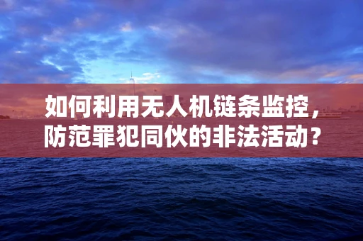 如何利用无人机链条监控，防范罪犯同伙的非法活动？