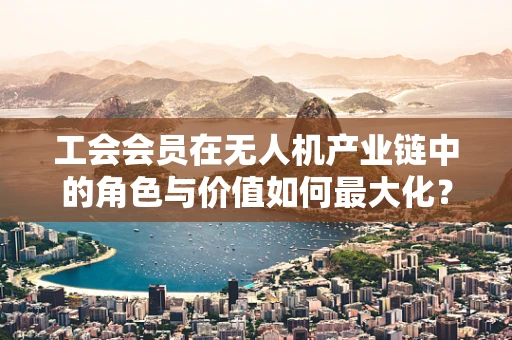 工会会员在无人机产业链中的角色与价值如何最大化？