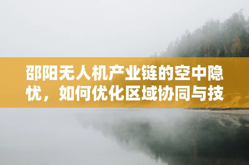 邵阳无人机产业链的空中隐忧，如何优化区域协同与技术创新？