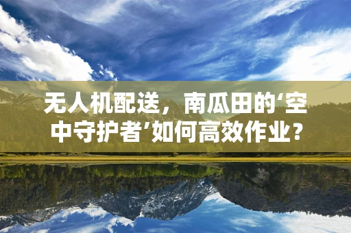 无人机配送，南瓜田的‘空中守护者’如何高效作业？