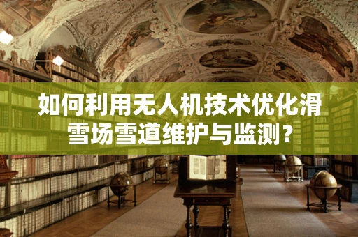 如何利用无人机技术优化滑雪场雪道维护与监测？
