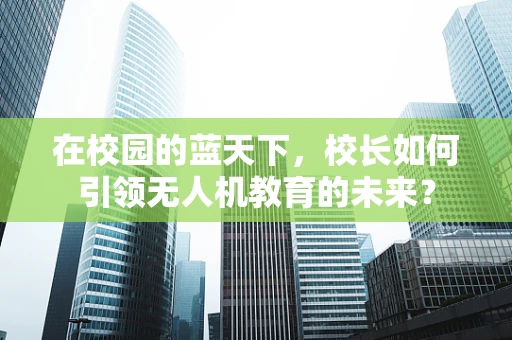在校园的蓝天下，校长如何引领无人机教育的未来？