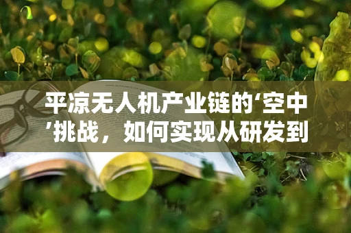 平凉无人机产业链的‘空中’挑战，如何实现从研发到应用的无缝对接？