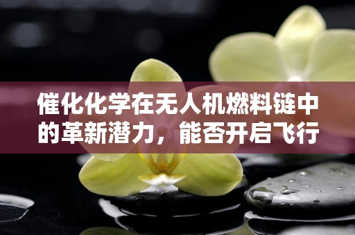 催化化学在无人机燃料链中的革新潜力，能否开启飞行时代的新篇章？