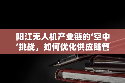 阳江无人机产业链的‘空中’挑战，如何优化供应链管理以提升竞争力？