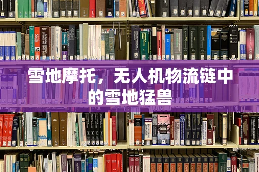 雪地摩托，无人机物流链中的雪地猛兽