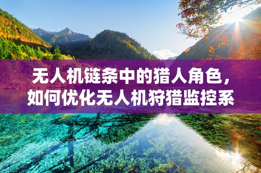 无人机链条中的猎人角色，如何优化无人机狩猎监控系统的精准度？