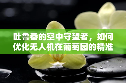 吐鲁番的空中守望者，如何优化无人机在葡萄园的精准喷洒策略？