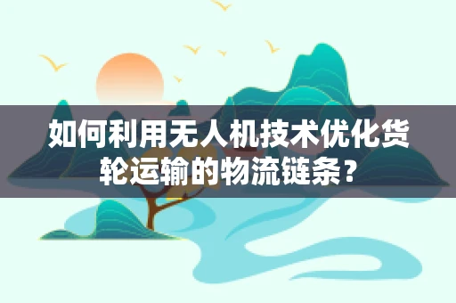 如何利用无人机技术优化货轮运输的物流链条？