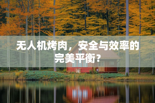 无人机烤肉，安全与效率的完美平衡？