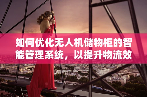 如何优化无人机储物柜的智能管理系统，以提升物流效率？