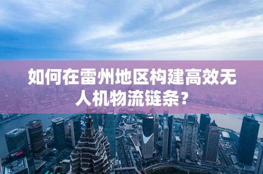 如何在雷州地区构建高效无人机物流链条？