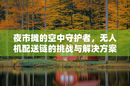 夜市摊的空中守护者，无人机配送链的挑战与解决方案
