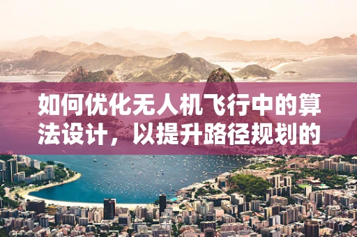 如何优化无人机飞行中的算法设计，以提升路径规划的智能与效率？