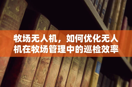 牧场无人机，如何优化无人机在牧场管理中的巡检效率？