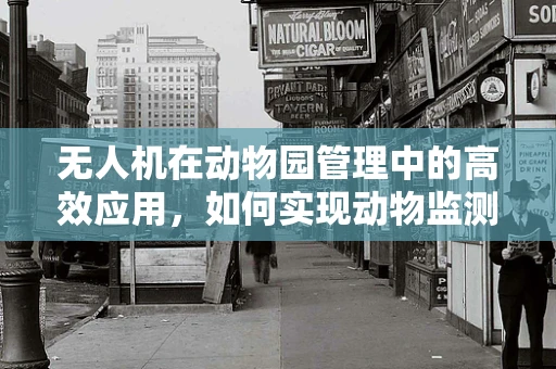 无人机在动物园管理中的高效应用，如何实现动物监测与安全保障的完美结合？