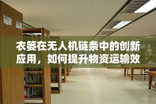 衣篓在无人机链条中的创新应用，如何提升物资运输效率？