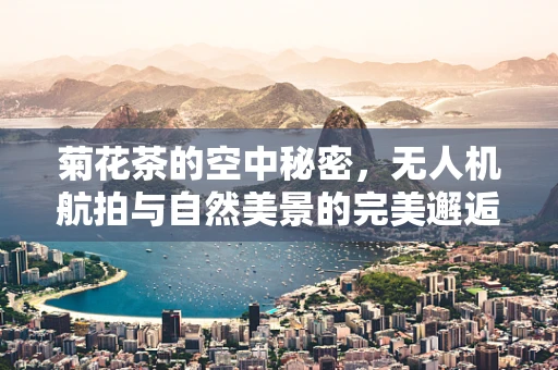 菊花茶的空中秘密，无人机航拍与自然美景的完美邂逅