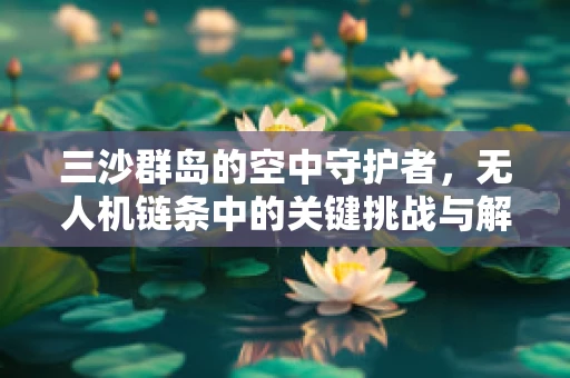 三沙群岛的空中守护者，无人机链条中的关键挑战与解决方案