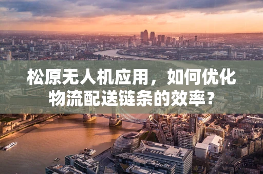 松原无人机应用，如何优化物流配送链条的效率？