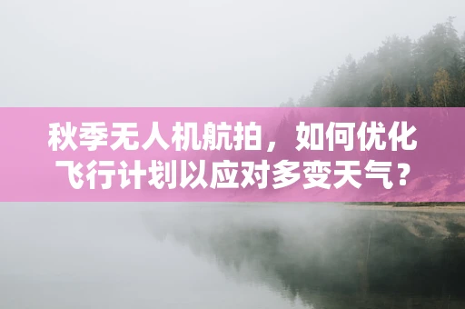 秋季无人机航拍，如何优化飞行计划以应对多变天气？
