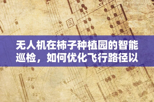 无人机在柿子种植园的智能巡检，如何优化飞行路径以提升检测效率？