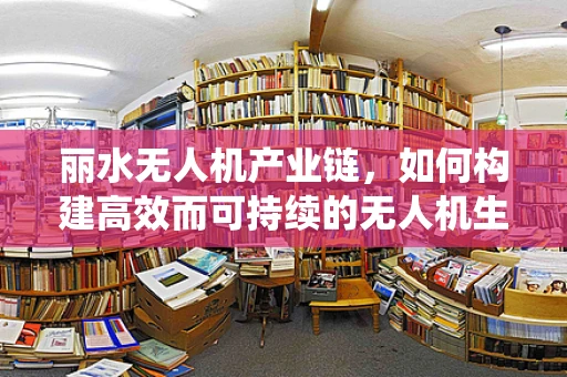 丽水无人机产业链，如何构建高效而可持续的无人机生态系统？